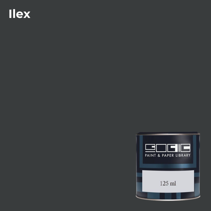 Пробник PPL  ILEX 125мл